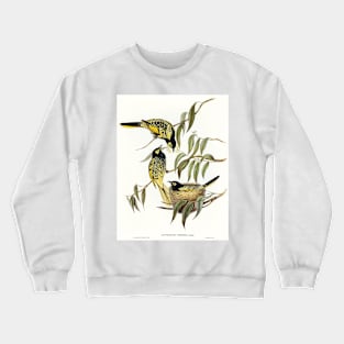 Red-backed Parakeet Crewneck Sweatshirt